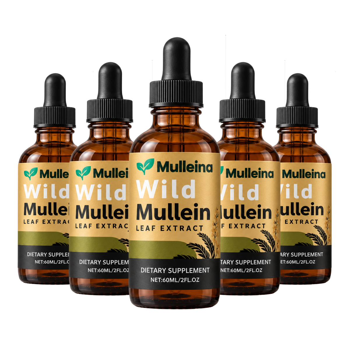 Mulleina